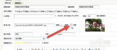 織夢(mèng)dedecms系統(tǒng)主頁(yè)篇之幻燈flash圖片顯示
